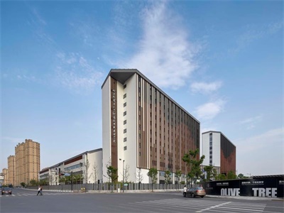 杭州橄榄树学校